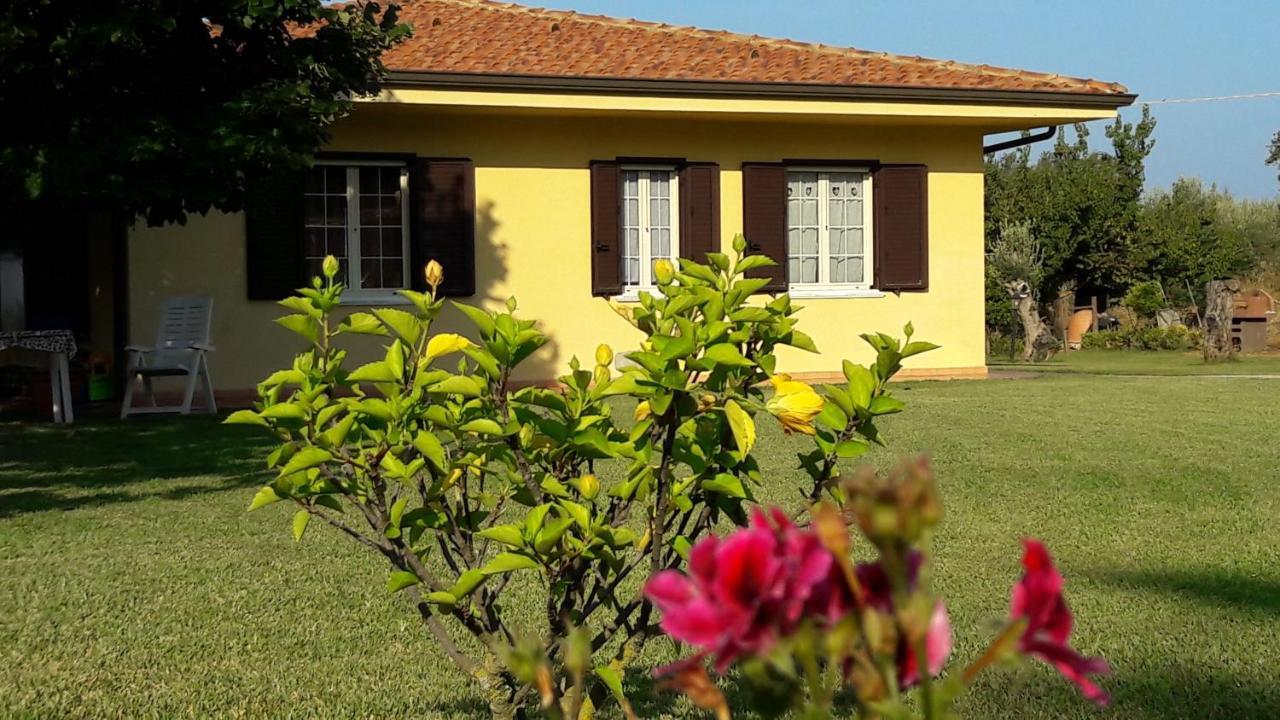Villa Mimosa Tropea Ricadi Luaran gambar