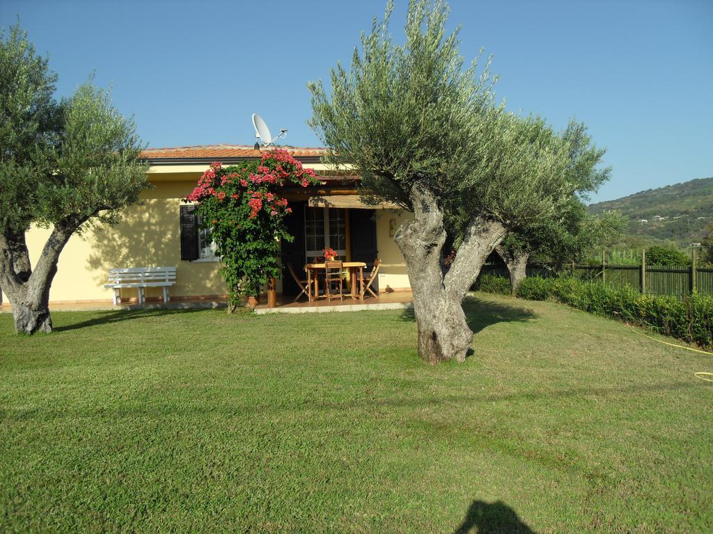 Villa Mimosa Tropea Ricadi Luaran gambar